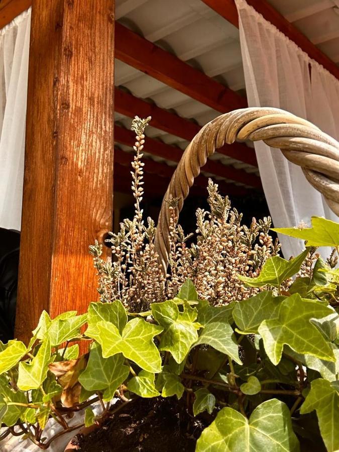 Appartamento Bon Bon Del Corso Con Terrazzo E Aria Condizionata Asti Esterno foto